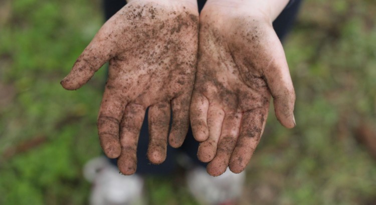 Diversão e natureza - Veja brincadeiras que unem as duas coisas